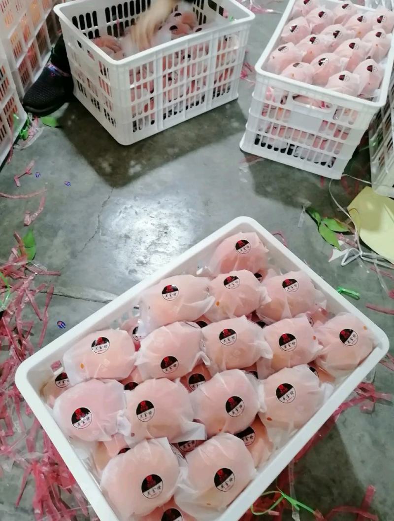 湖北纽荷尔脐橙甜蜜多汁一手货源基地直发可视频看货