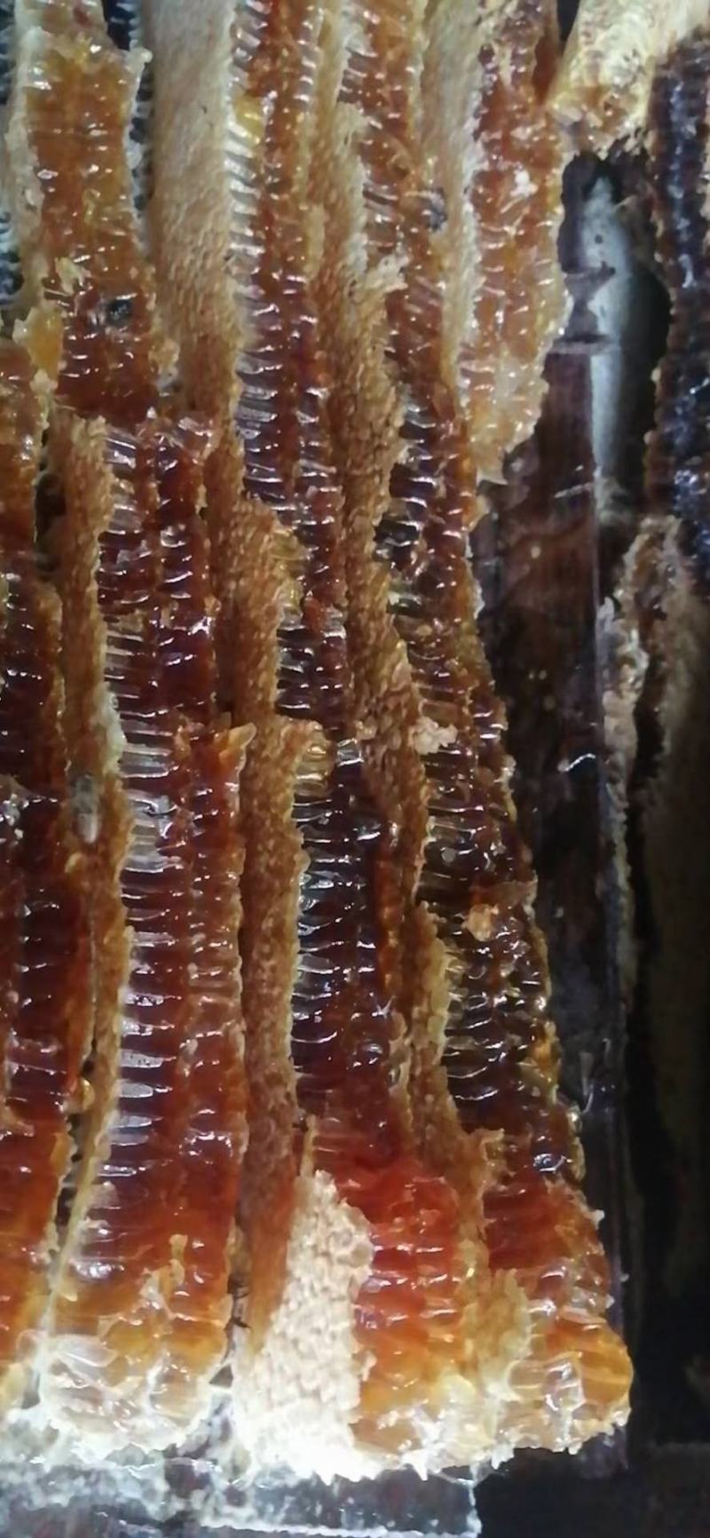 野生蜂蜜，产地直发，一手货源品质保证，冬蜜夏蜜都有