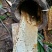 野生蜂蜜，产地直发，一手货源品质保证，冬蜜夏蜜都有