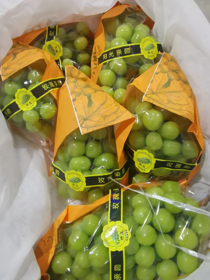 阳光玫瑰将进入到记时，货源充足，货挺好，13克以上
