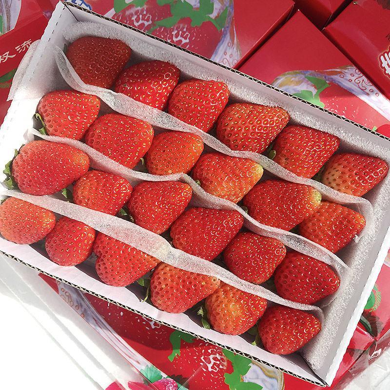 辽宁丹东红颜草莓大量上市产地供货可对接电商欢迎采购