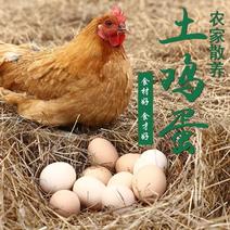 正宗土鸡蛋鸡蛋树林散养鸡，保证质量，全是吃玉米的土鸡