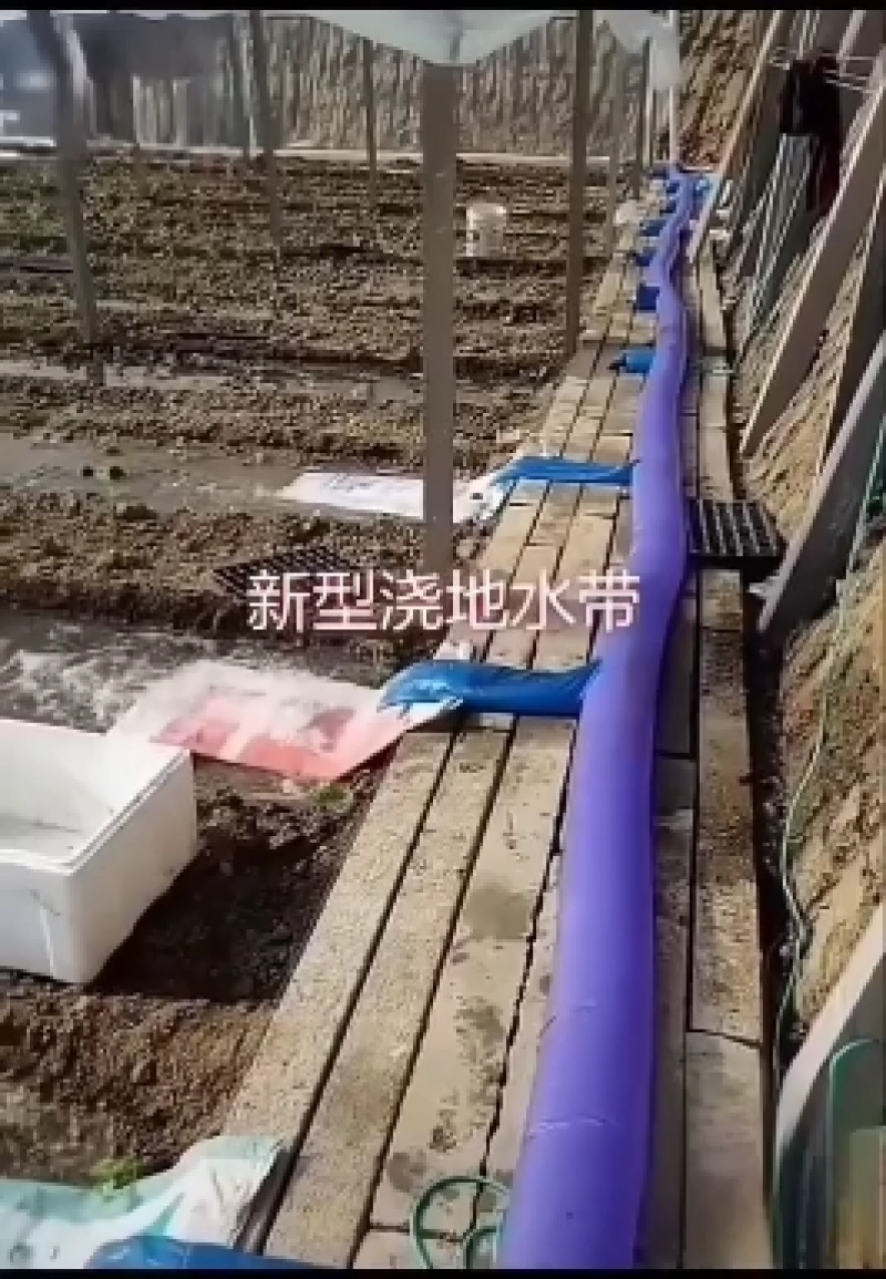 浇地布水带，厂家批发各种尺寸浇地布水带，让老百姓放心使用