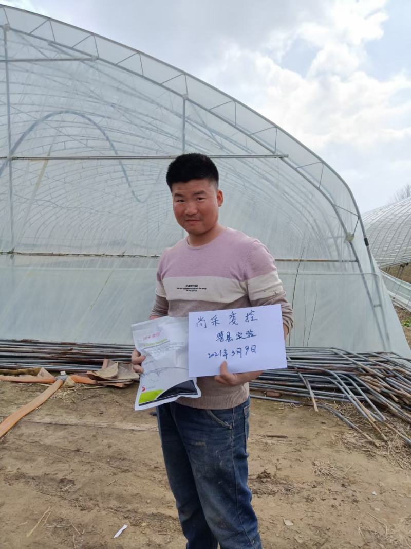根腐病青枯病枯萎病蔓枯病软腐病等土传性病害专用药