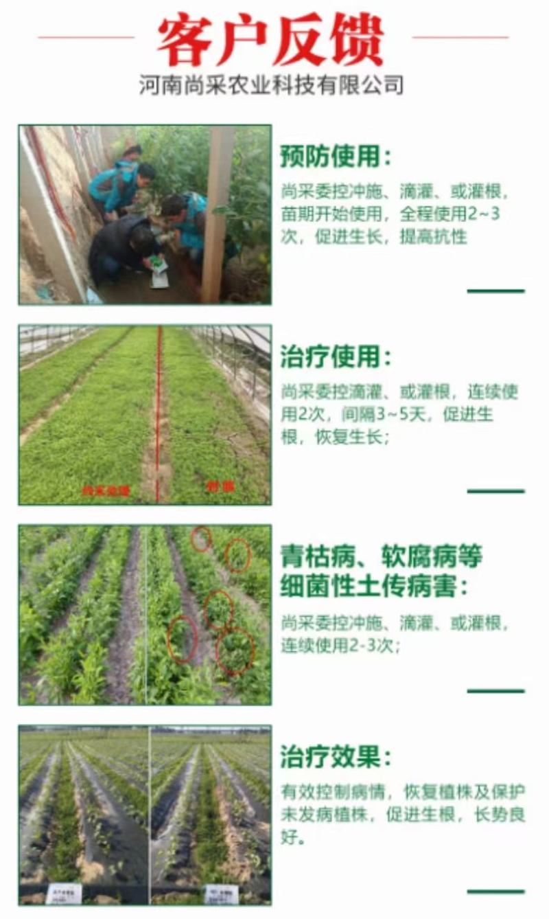 根腐病青枯病枯萎病蔓枯病软腐病等土传性病害专用药
