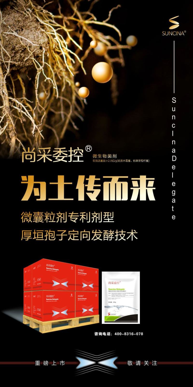 根腐病青枯病枯萎病蔓枯病软腐病等土传性病害专用药
