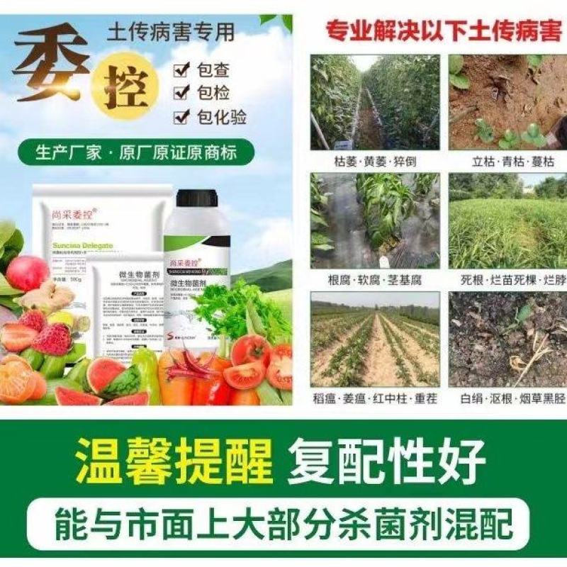 根腐病青枯病枯萎病蔓枯病软腐病等土传性病害专用药