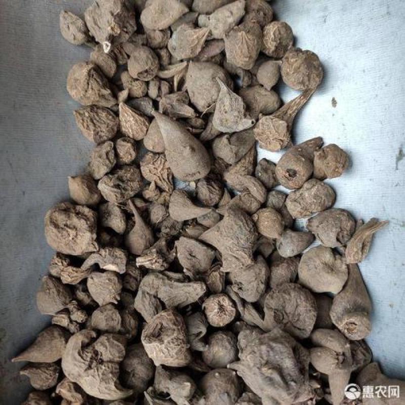 冷背药材正品产地直发货干足干不霉变货好