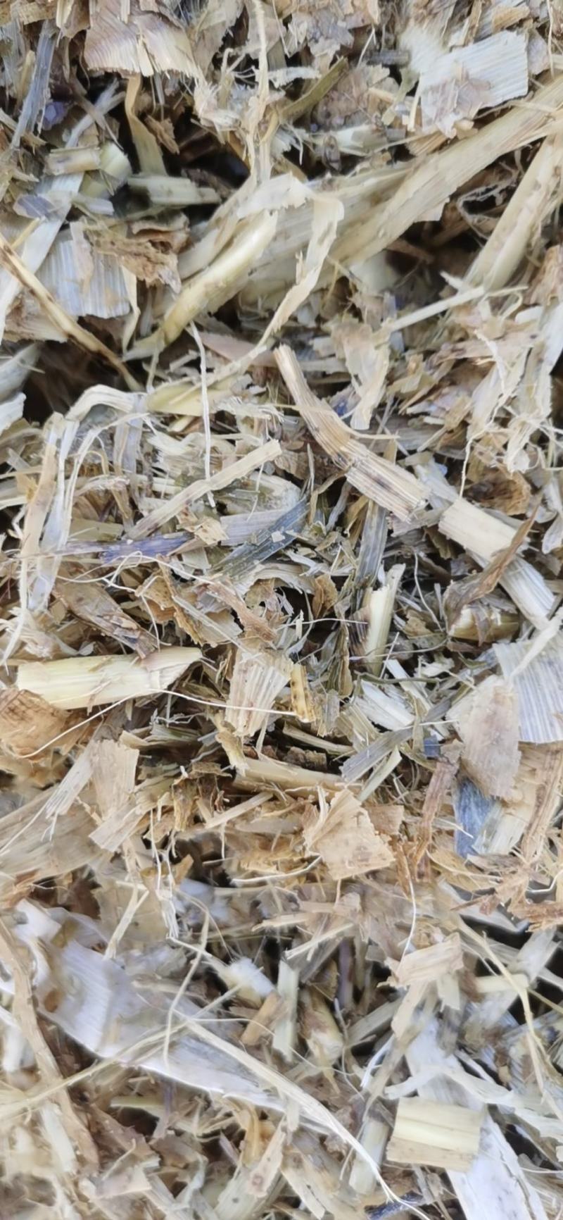 玉米秸秆牛羊饲料大量有货厂家现货欢迎新老客户联系