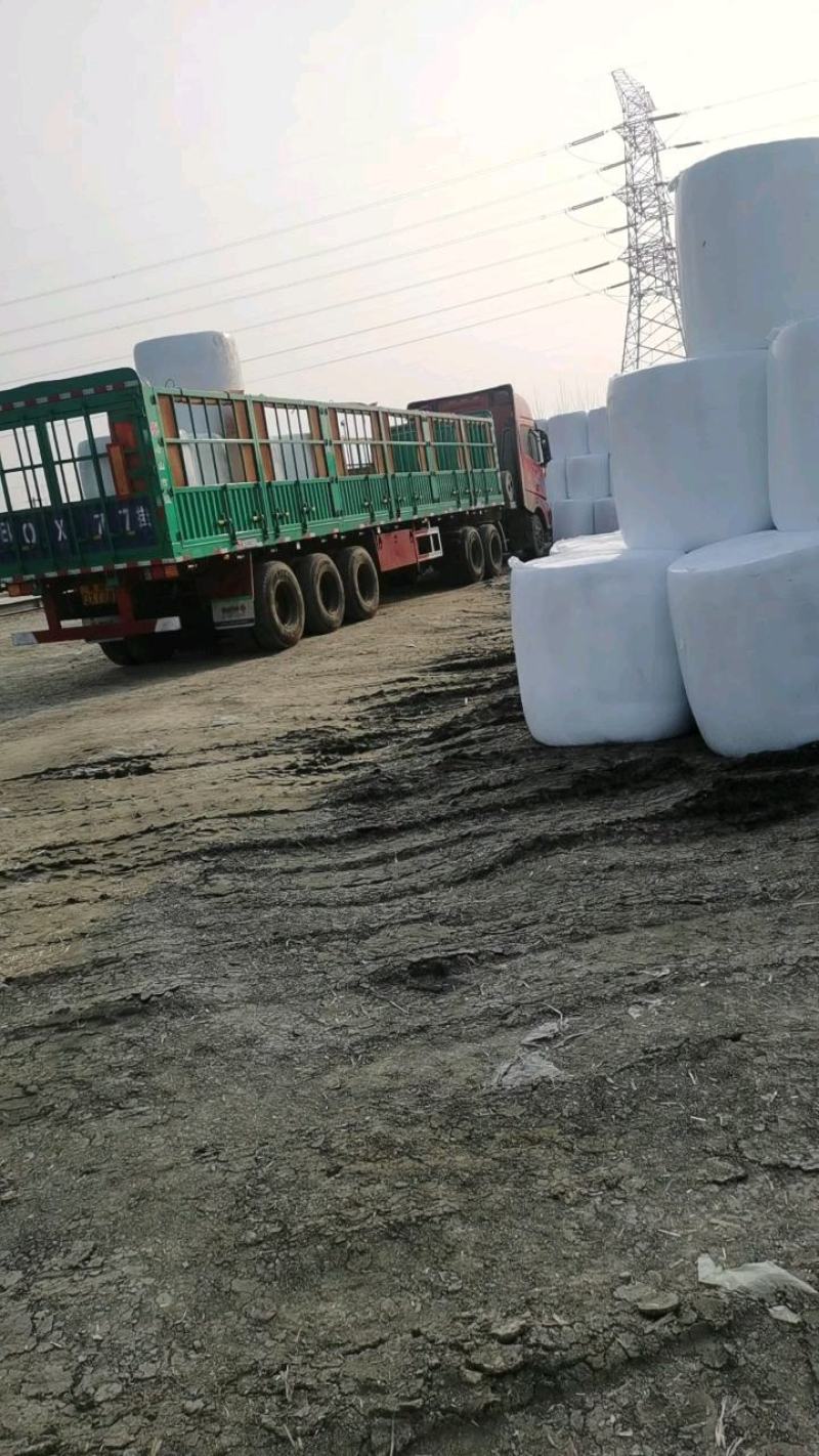 玉米秸秆牛羊饲料大量有货厂家现货欢迎新老客户联系