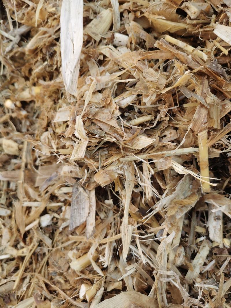 玉米秸秆牛羊饲料大量有货厂家现货欢迎新老客户联系