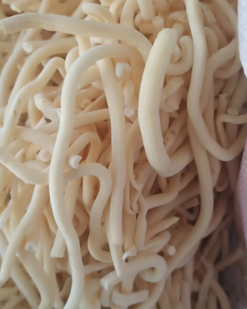 通草各种规格通草中药材批发通草质量保证