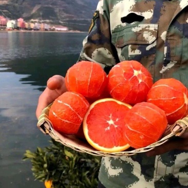 湖北血橙甜蜜多汁一手货源基地直发可视频看货