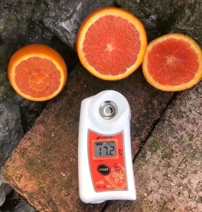 湖北血橙甜蜜多汁一手货源基地直发可视频看货