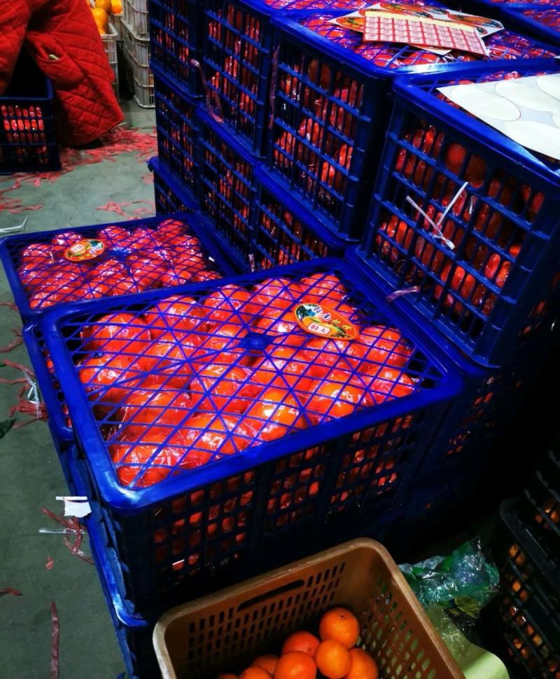湖北血橙甜蜜多汁一手货源基地直发可视频看货