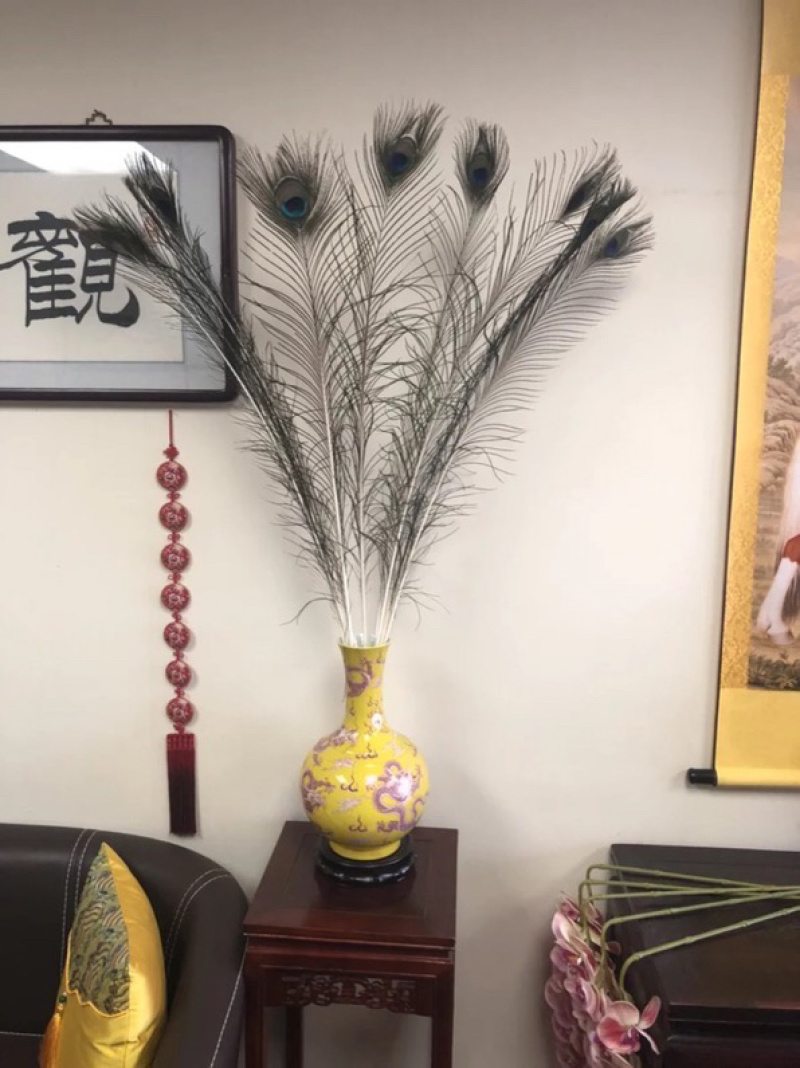 包邮七彩孔雀羽毛客厅插花装饰大眼睛云南直发一件代发团购