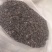 562油葵千粒720颗粒饱满
