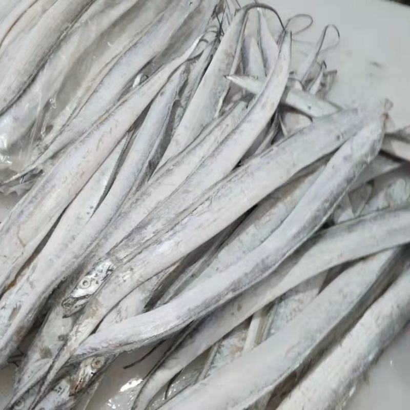 东海带鱼大规格干冰条冻东海国产带鱼没包冰不包运费量大从优