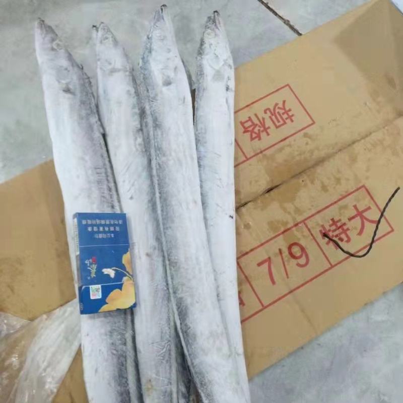 东海带鱼大规格干冰条冻东海国产带鱼没包冰不包运费量大从优