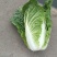 黄心大白菜