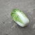 黄心大白菜