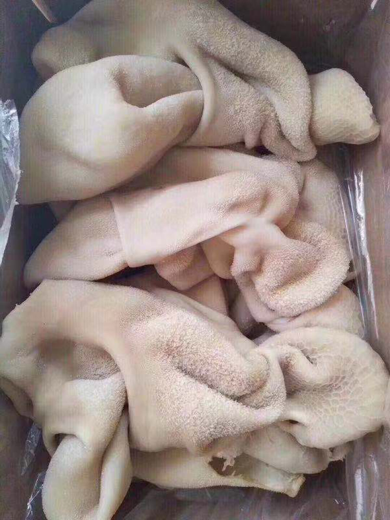 羊肚