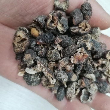 云南余甘子去核肉厚通货选货大量批发颜色好