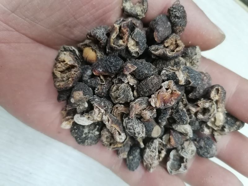 云南余甘子去核肉厚通货选货大量批发颜色好