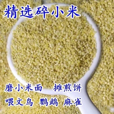碎小米酿酒磨面摊煎饼喂鸟鹦鹉麻雀食物东北小米
