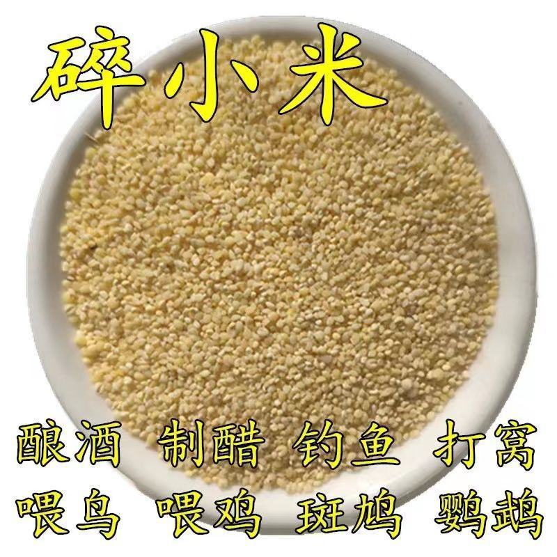 碎小米酿酒磨面摊煎饼喂鸟鹦鹉麻雀食物东北小米