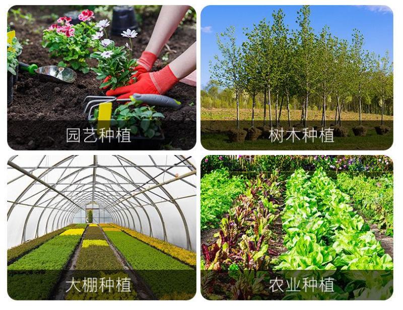 土壤酸碱度ph值测试仪花草氮磷钾肥沃力度检测器泥土湿度