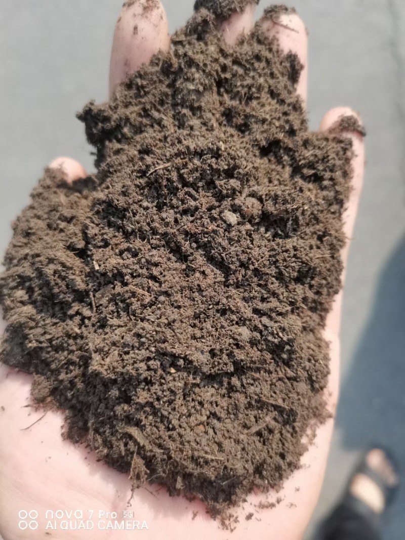 发酵羊粪，高温腐熟，改良土壤，破除板结，提高品质，抗重茬