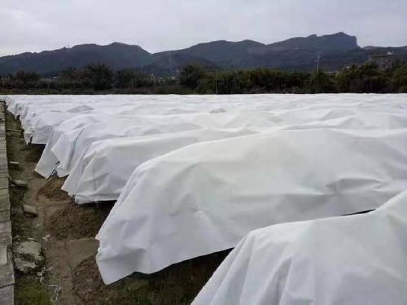 防寒布厂家现货，诚信经营基地直供货源充足全国发货