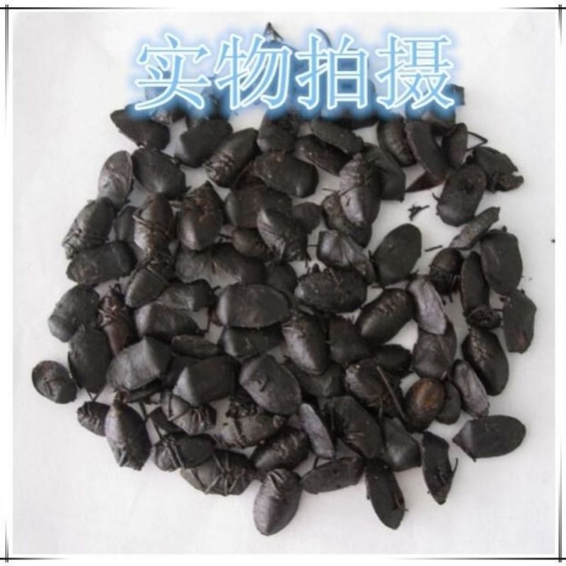 中药材炒九香虫当天发货质量保证包邮