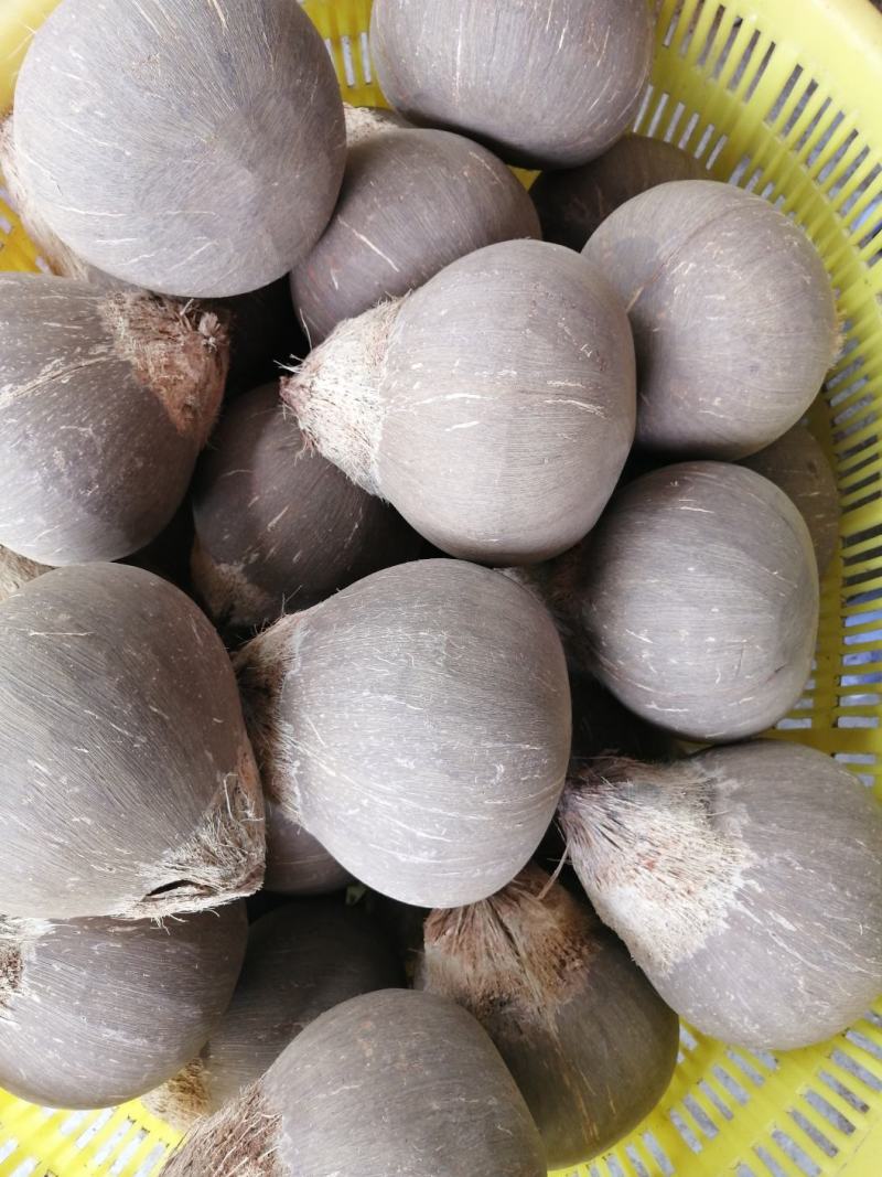 椰皇只打磨不抛光的，厂家批发，一年四季供货。
