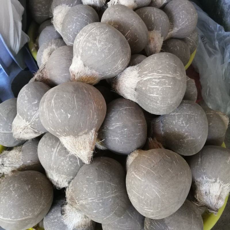 椰皇只打磨不抛光的，厂家批发，一年四季供货。