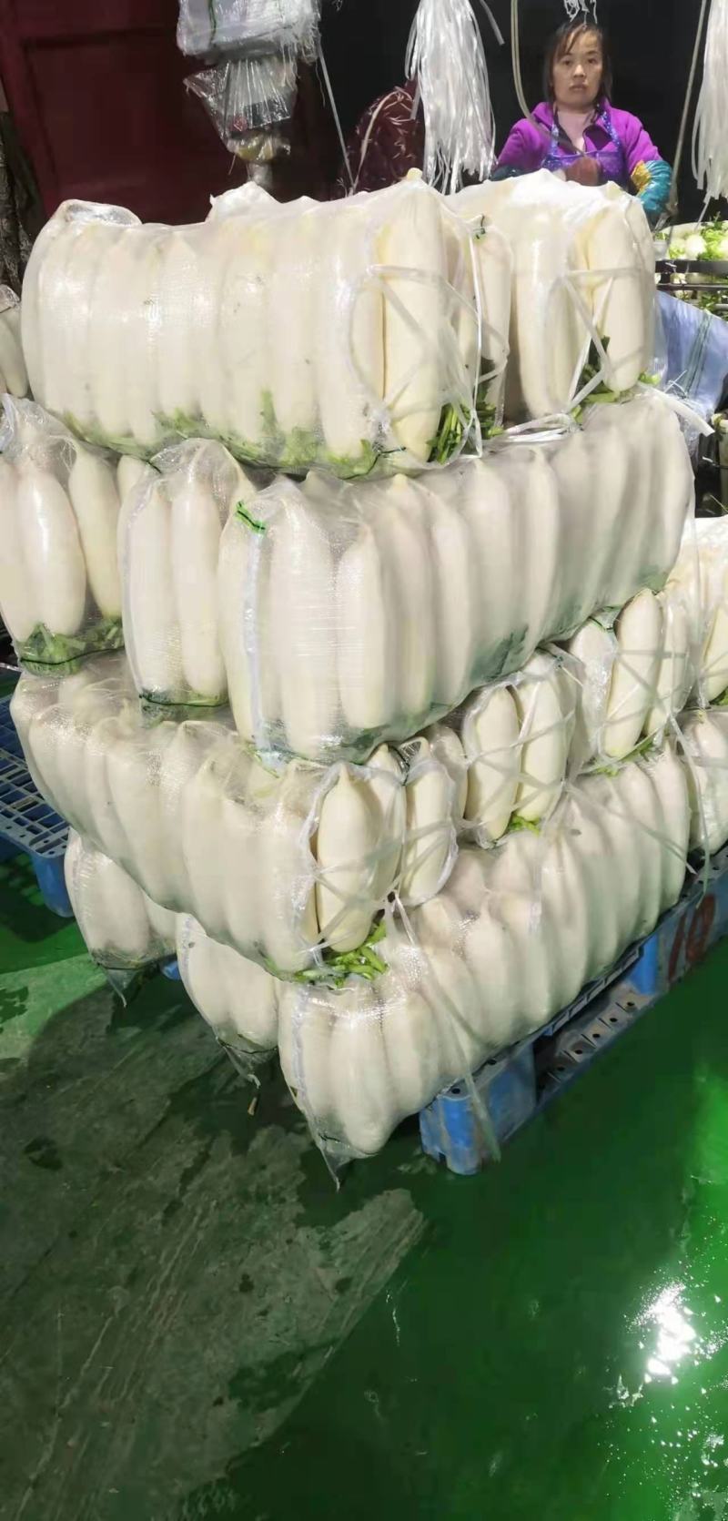 湖北天门精品白萝卜