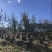 江川利满园中蜂养殖基地，蜂厂直供。