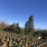 江川利满园中蜂养殖基地，蜂厂直供。