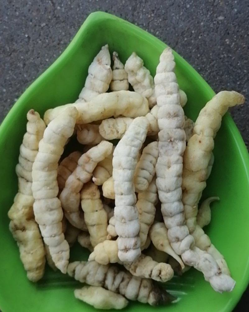草石蚕新货包邮地蚕泽兰根中草药土冬虫草