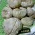 新货土耳其无花果干新鲜新疆孕妇零食批发一件代发进口零食