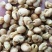 大豆黄卷大豆卷冷背药材齐全不满意可退换货