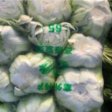 大白菜黄心白菜，无烧心，无虫眼，保质保量