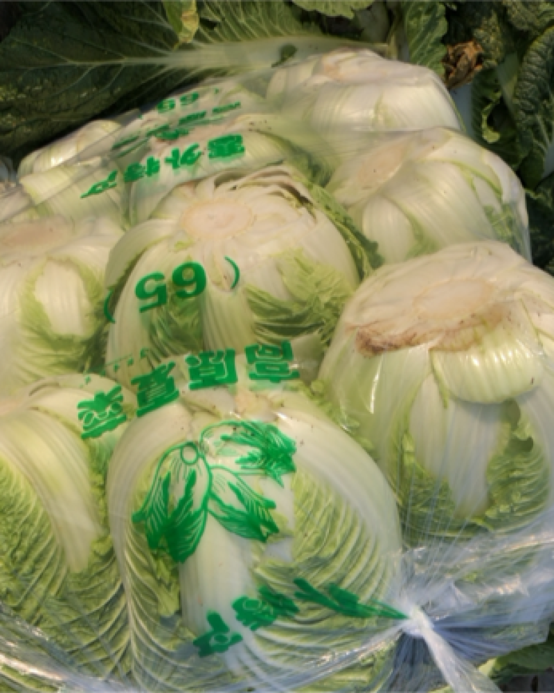 大白菜黄心白菜，无烧心，无虫眼，保质保量