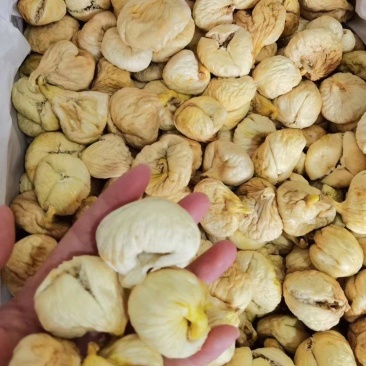 新货土耳其无花果干新鲜新疆孕妇零食批发一件代发进口零食