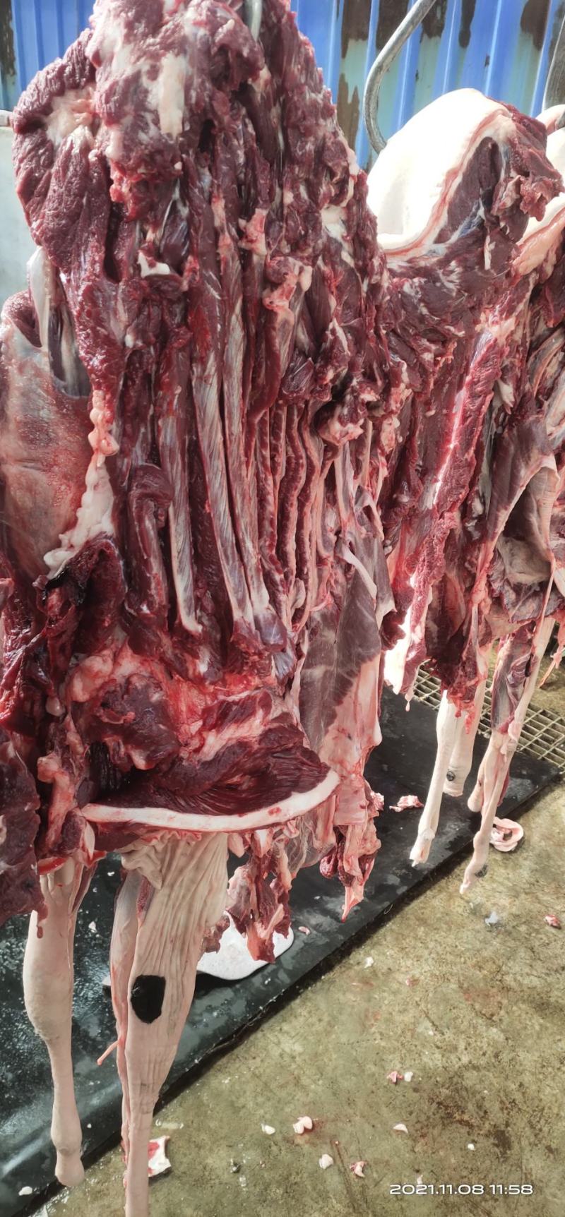 【鲜驴肉】驴肉带皮驴肉去皮驴肉规格齐全现杀现发