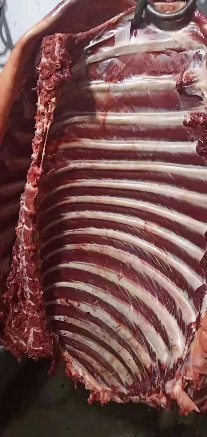 【鲜驴肉】驴肉带皮驴肉去皮驴肉规格齐全现杀现发