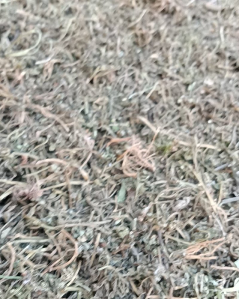鹅不食草片