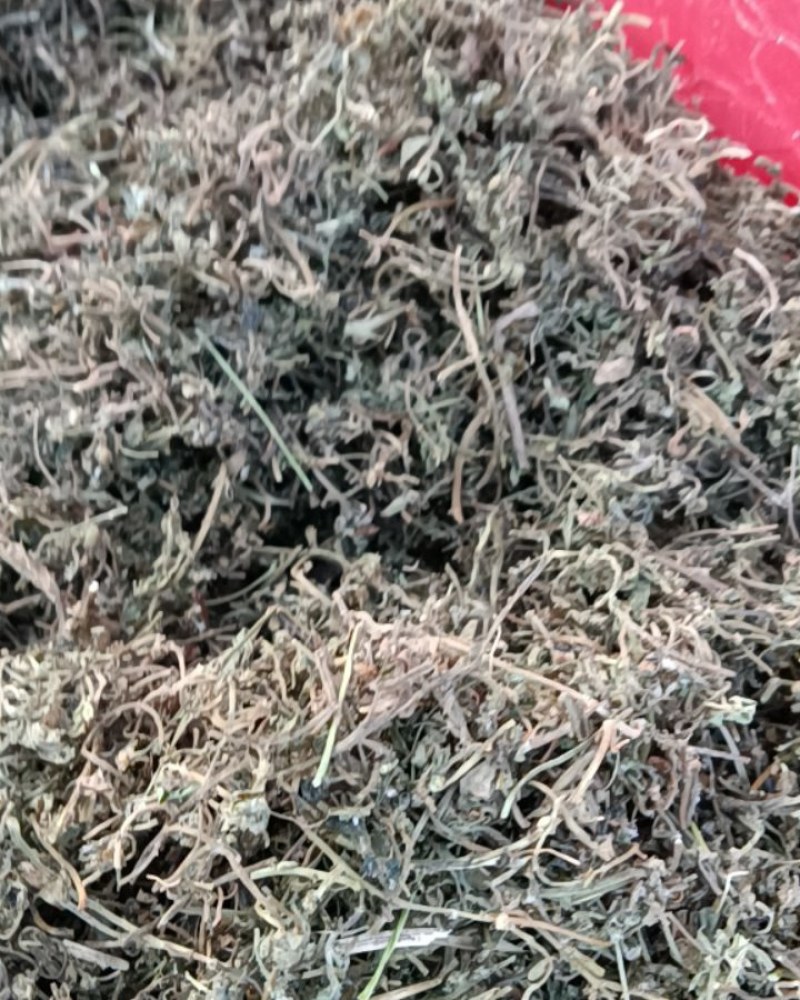 鹅不食草片