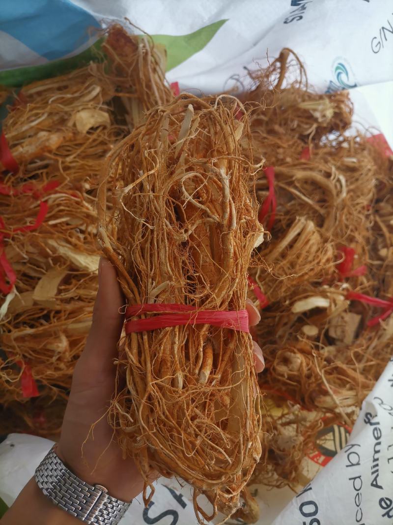 广东山挖五指毛桃加工，干净无泥，现挖现加工，厂家直售！